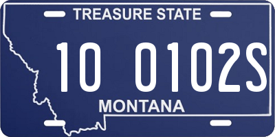 MT license plate 100102S