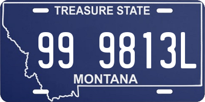 MT license plate 999813L