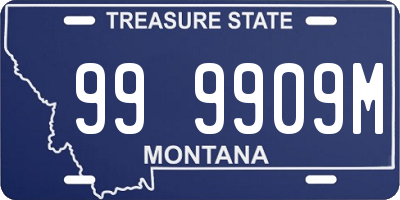 MT license plate 999909M