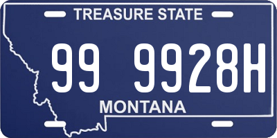 MT license plate 999928H