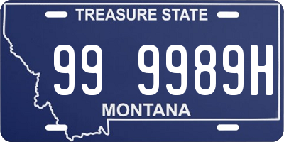 MT license plate 999989H