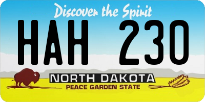 ND license plate HAH230