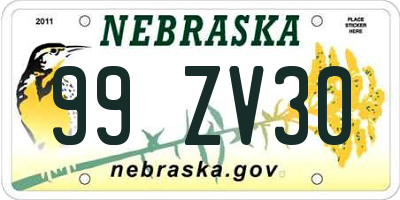 NE license plate 99ZV30