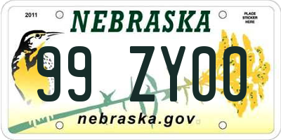 NE license plate 99ZY00
