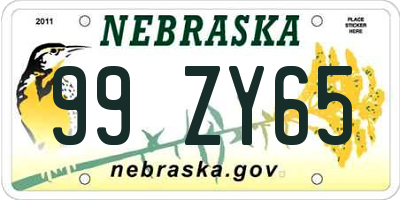 NE license plate 99ZY65
