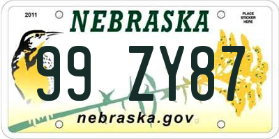 NE license plate 99ZY87