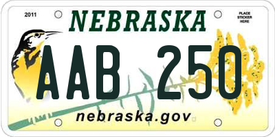 NE license plate AAB250