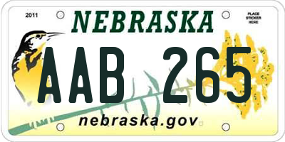 NE license plate AAB265