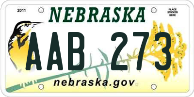 NE license plate AAB273