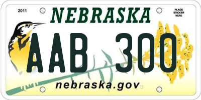 NE license plate AAB300