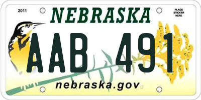 NE license plate AAB491