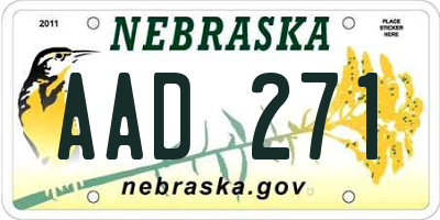 NE license plate AAD271