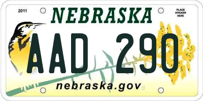 NE license plate AAD290