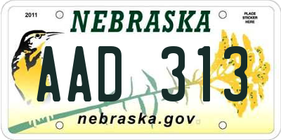 NE license plate AAD313