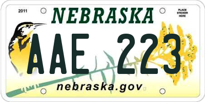 NE license plate AAE223