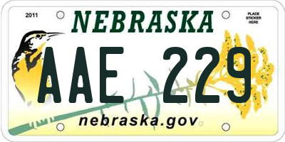 NE license plate AAE229