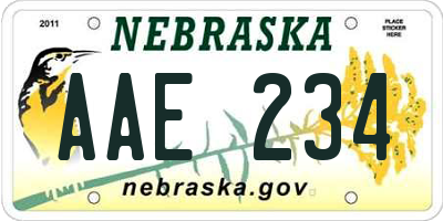 NE license plate AAE234