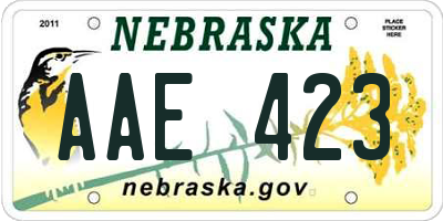 NE license plate AAE423