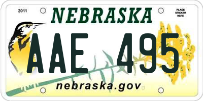 NE license plate AAE495