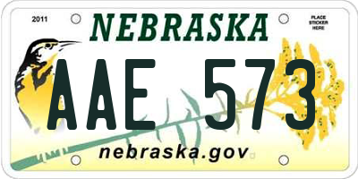 NE license plate AAE573