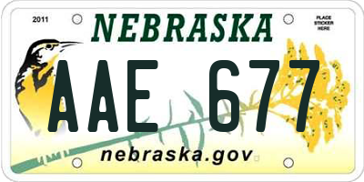 NE license plate AAE677