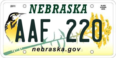 NE license plate AAF220