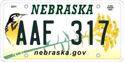 NE license plate AAF317