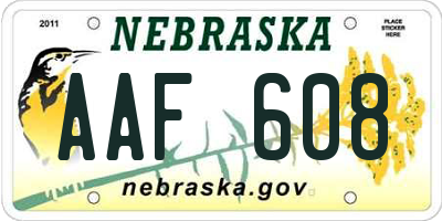 NE license plate AAF608