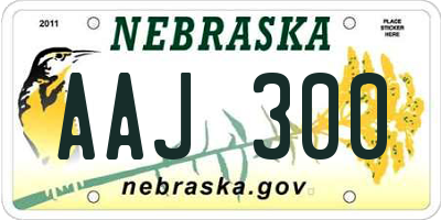NE license plate AAJ300