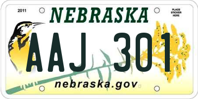 NE license plate AAJ301