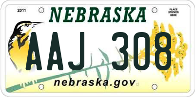 NE license plate AAJ308