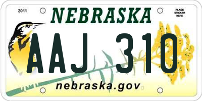 NE license plate AAJ310