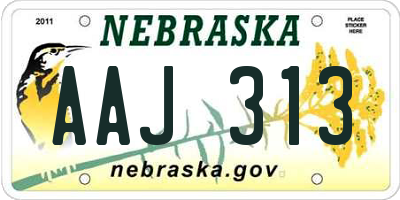 NE license plate AAJ313