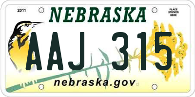 NE license plate AAJ315