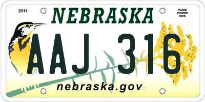 NE license plate AAJ316