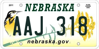 NE license plate AAJ318