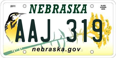 NE license plate AAJ319