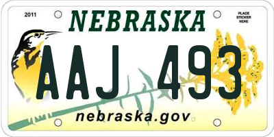 NE license plate AAJ493