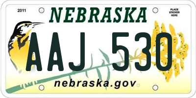 NE license plate AAJ530