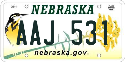 NE license plate AAJ531
