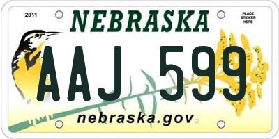 NE license plate AAJ599