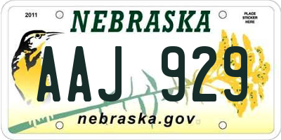 NE license plate AAJ929