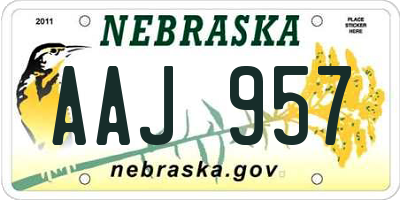 NE license plate AAJ957