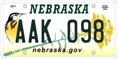NE license plate AAK098