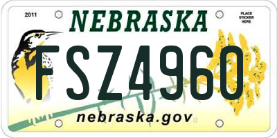 NE license plate FSZ4960