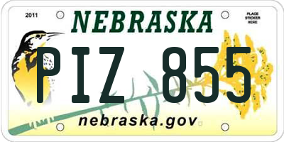 NE license plate PIZ855