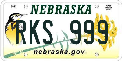 NE license plate RKS999