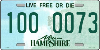 NH license plate 1000073