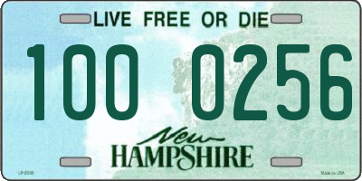 NH license plate 1000256