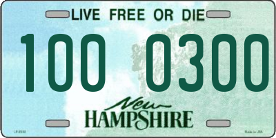 NH license plate 1000300